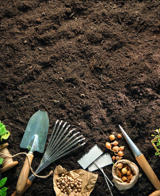 Harvesting and Using
Vermicompost