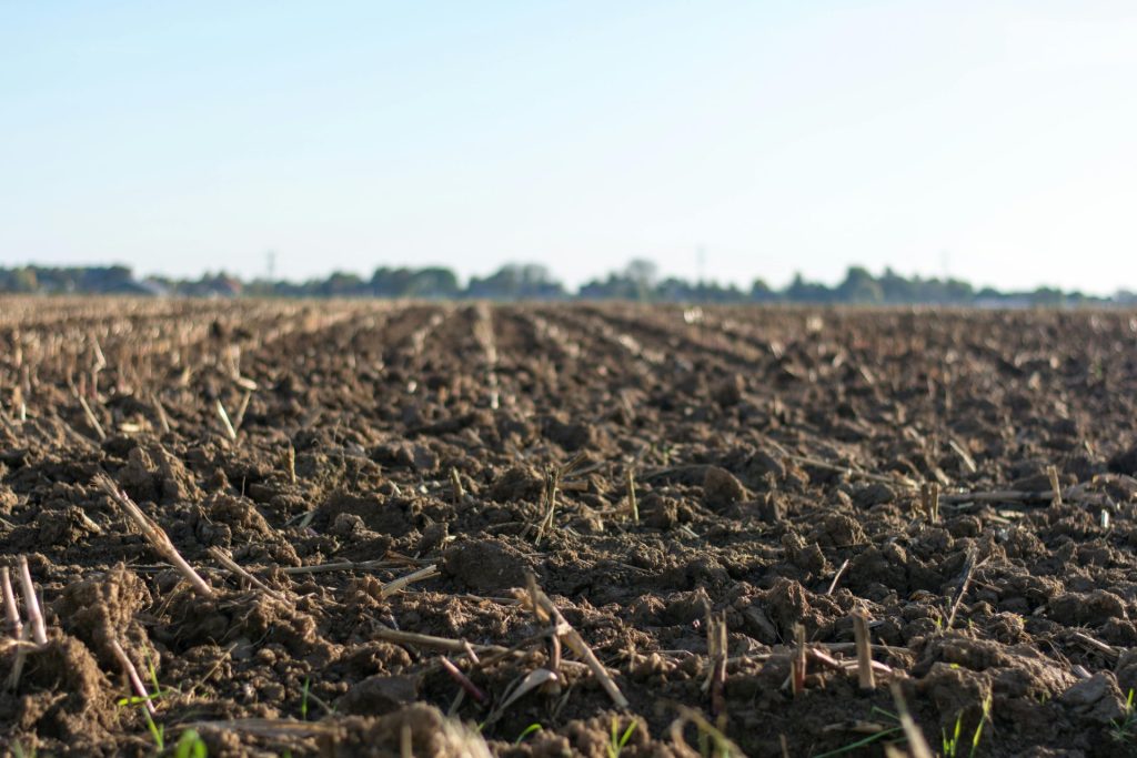 A close-up image of a freshly plowed farmland in springtime, ready for new crops.
