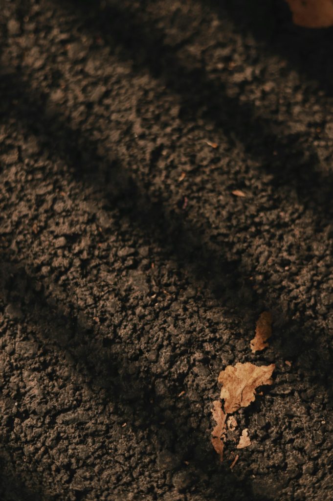 A close up of a piece of food on a plate