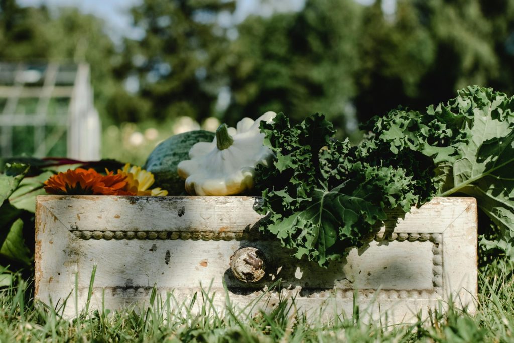 A close-up of fresh organic vegetables in a rustic box set against a sunny outdoor garden.